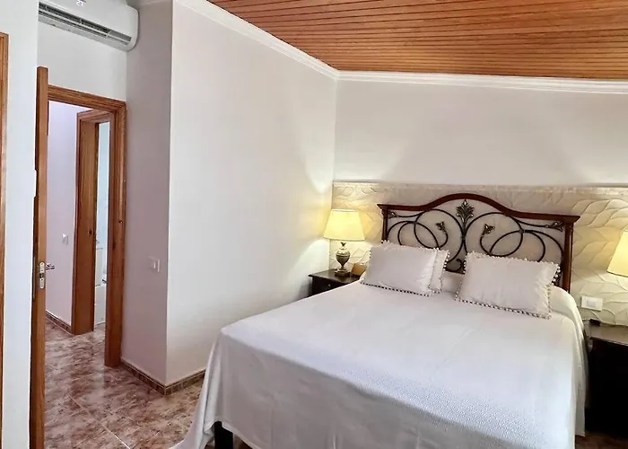Tabaibas En El El Tablero (Las Palmas)
