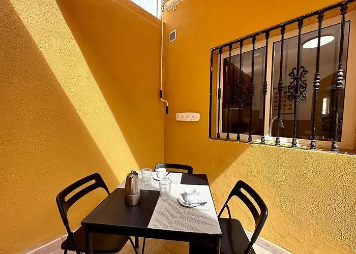 Tabaibas En El * El Tablero (Las Palmas)