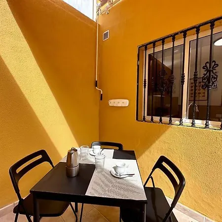Tabaibas En El * El Tablero (Las Palmas)
